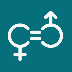 <h4 style="padding:5px;margin-bottom:5px"> §5. Gender equality</h4> <p style="margin-left:1em">labour force participation rates; gender wage gap</p>